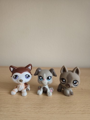 Littlest pet shops husky - littlest,