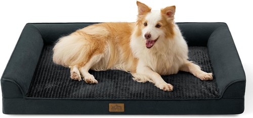 Cozy kiss orthopedic dog - kiss,