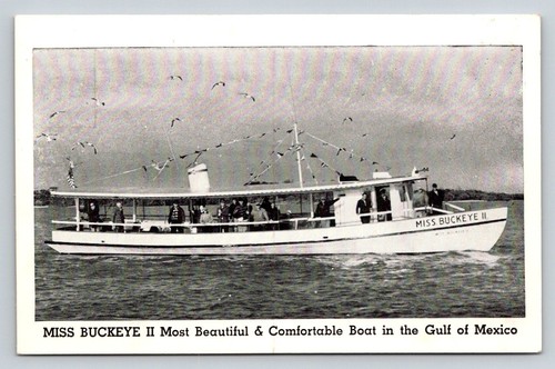 Vintage postcard miss buckeye - vintage,