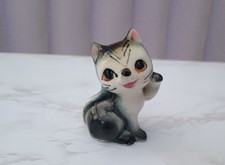 Black And White Kitten