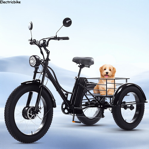 Inch electric cargo trike - 24,