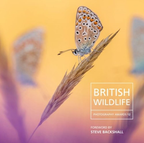 British wildlife photography - british,