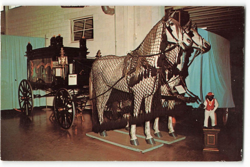 Postcard horse drawn - postcard, hearse