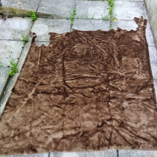 Huge chocolate brown teddy - huge,