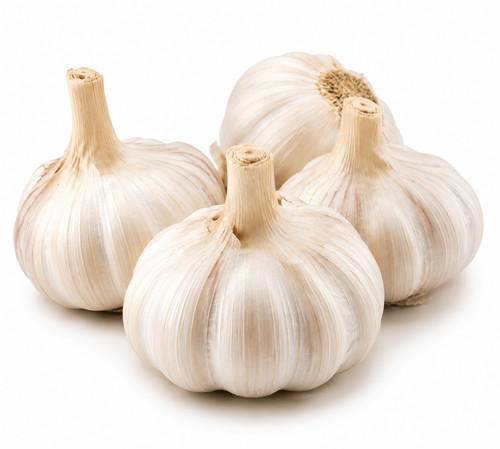 Organically grown white garlic - organically,