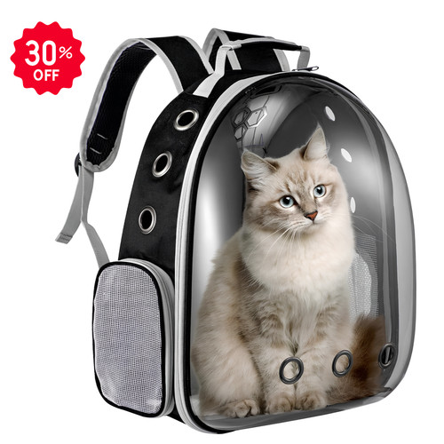 Transparent bubble cat - transparent,