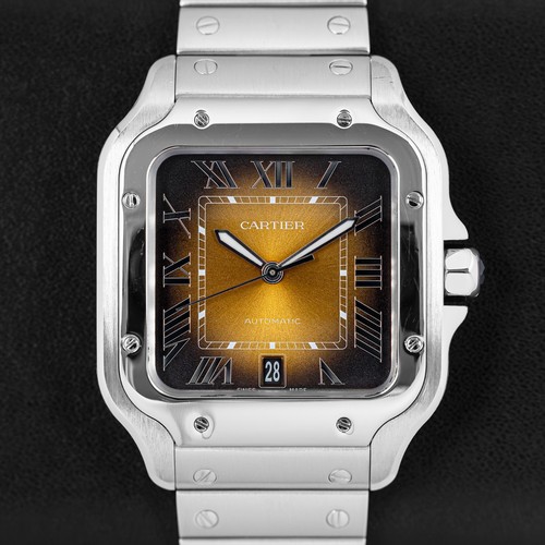Cartier santos brown - cartier,
