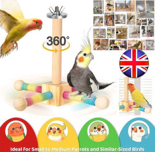 Wooden parrots stand bird - wooden,