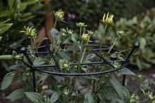 Pack of 2 Tom Chambers Black