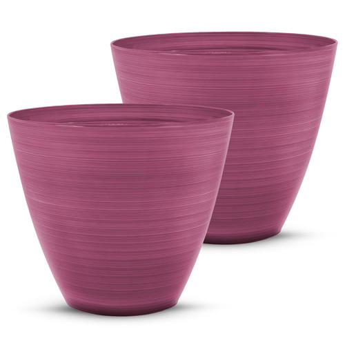 Plastic plant pots with - plant,