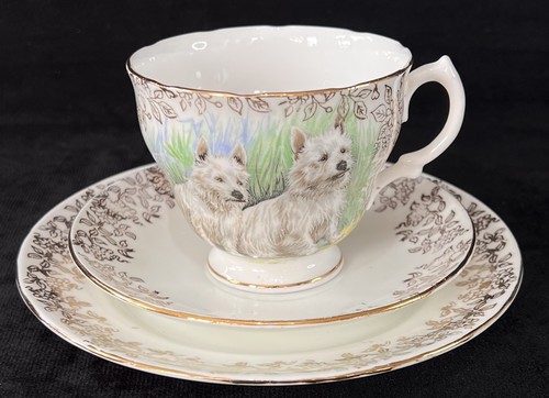 West highland terriers tea - west,