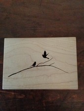 Cut Birch Relief Art Of Birds