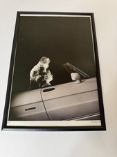 FRAMED Original Alfa Romeo Spider S4 Magazine Picture Poster Man Cave Wall Art