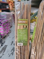 Grow!t Grow It Bamboo Plant