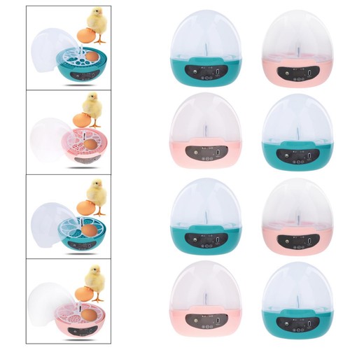 Mini egg incubator for kids - egg,