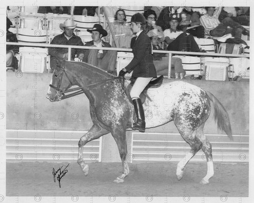 Vintage photo 1950s - vintage,