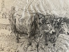 Beautiful Engraving 19th Century On Real Vellum Jean Paul Laurens Oxen Team
