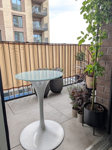 Eros saarinen style tulip - saarinen,