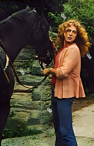 Robert plant led zeppelin - robert,