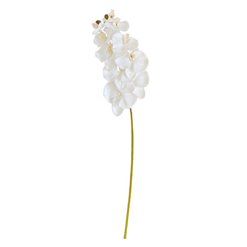 Real touch orchid - touch,