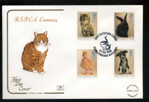 1990 rspca cotswold - , cat