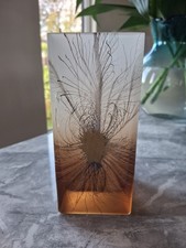 Herner Royal Peacock Feathers Hand Painted Vase. Made In Poland. Satin Finish