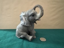 Baby African Elephant Sitting