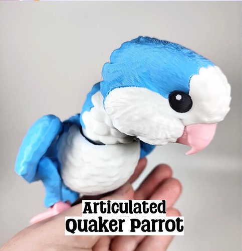 Articulated quaker parrot - articulated, 3d