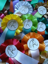 Horse Rosettes Birthday Rosettes Pony Party Rosettes x 10 Mini Rosette FREE POST