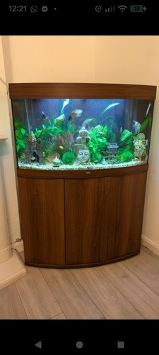 Juwel vision 260 fish tank - juwel,