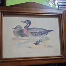 Vintage Italian Holz Wood Handcrafted Bimaculated Duck Wall Mount Key Cabinet