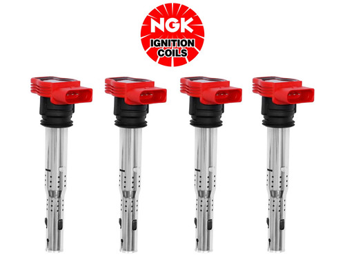Ngk pin ignition - ngk, 4