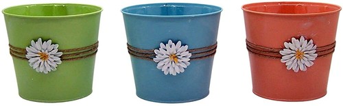 Pastel metal bucket planters - metal,