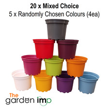 20 x 2L Coloured Plastic Plant