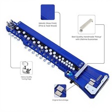 Indian Bulbul Tarang Banjo 29