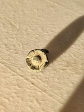 Tudor Rose Stud