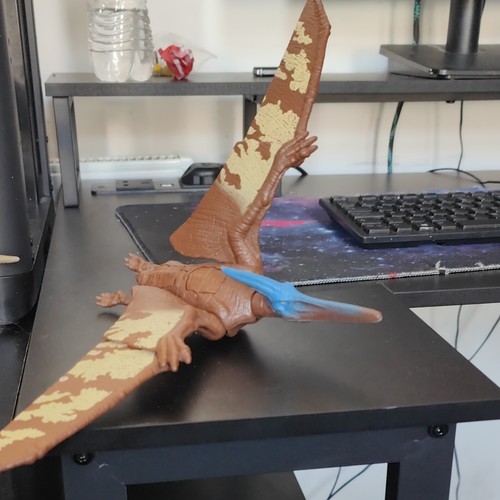 Dinosaurs pterodactyl - dinosaurs,