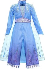 Disney Frozen 2 Elsa Dress