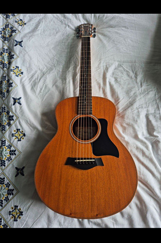 Taylor mini string - taylor, gs