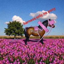 Breyer  Custom Horse Pink