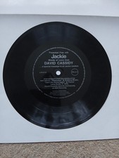 David Cassidy Interview Flexi