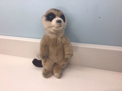 Meerkat soft toy official - soft,