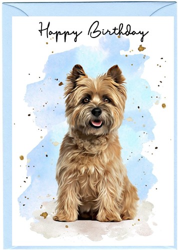 Cairn terrier dog - terrier, 6")