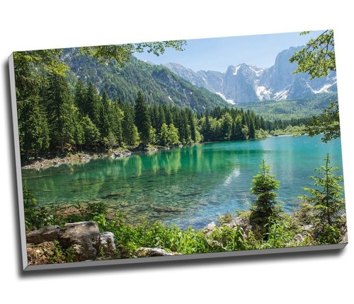 Green forest lagoon mountain - lagoon,