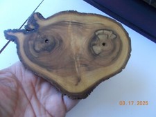 Sliced Tree Trunk or Limb