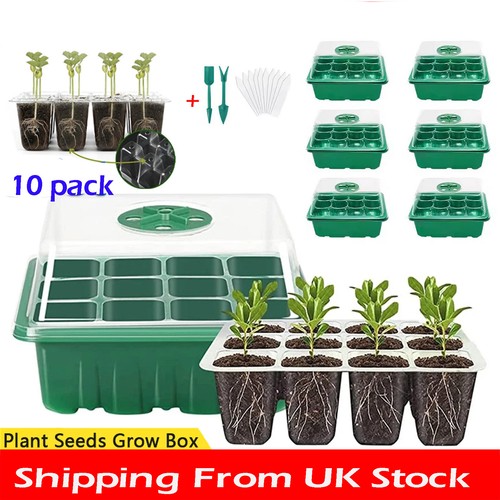 Pack hole plant seed - 10,