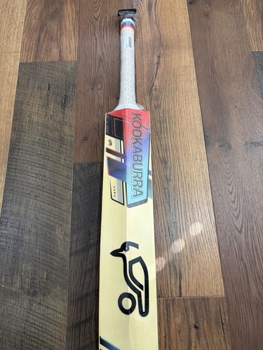 Kookaburra aura english - aura,