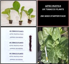 AZTEC RUSTICA SEED PACK -
