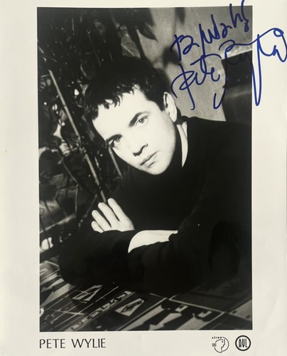 The mighty wah pete wylie - the, :