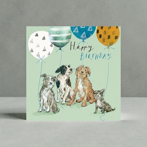 Dogs and balloons happy - and,
